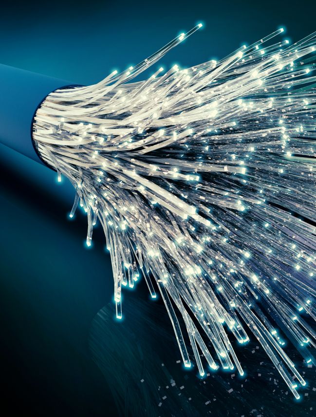 Fixed & Fibre Companies